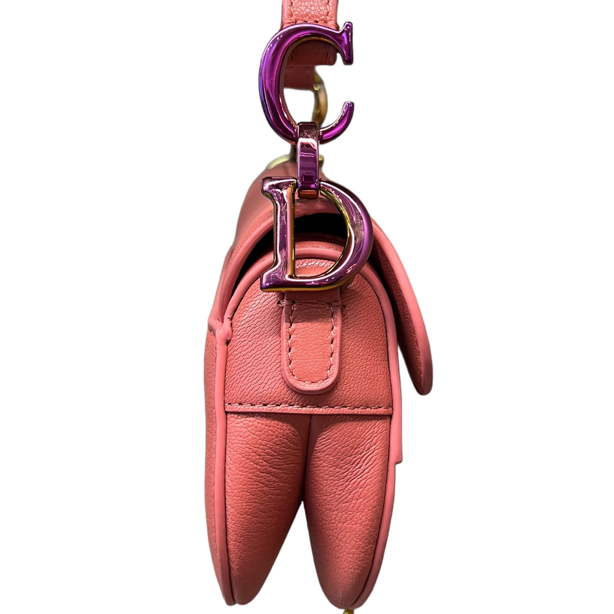 DIOR SADDLE MICRO